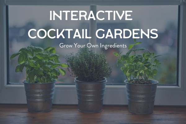 Interactive Cocktail Gardens: Grow Your Own Ingredients